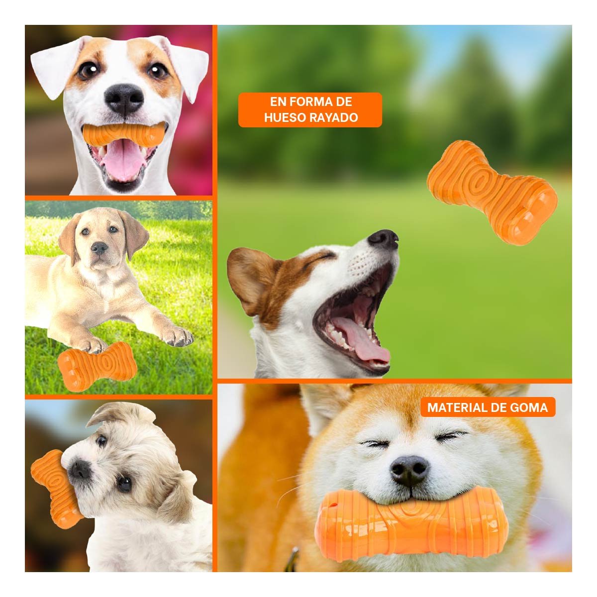 PACK4 ELEMENTO EN NARANJA EN FORMA HUESO CON RAYAS CON PRESENCIA DISCRETA YREGALO STICKER - 2