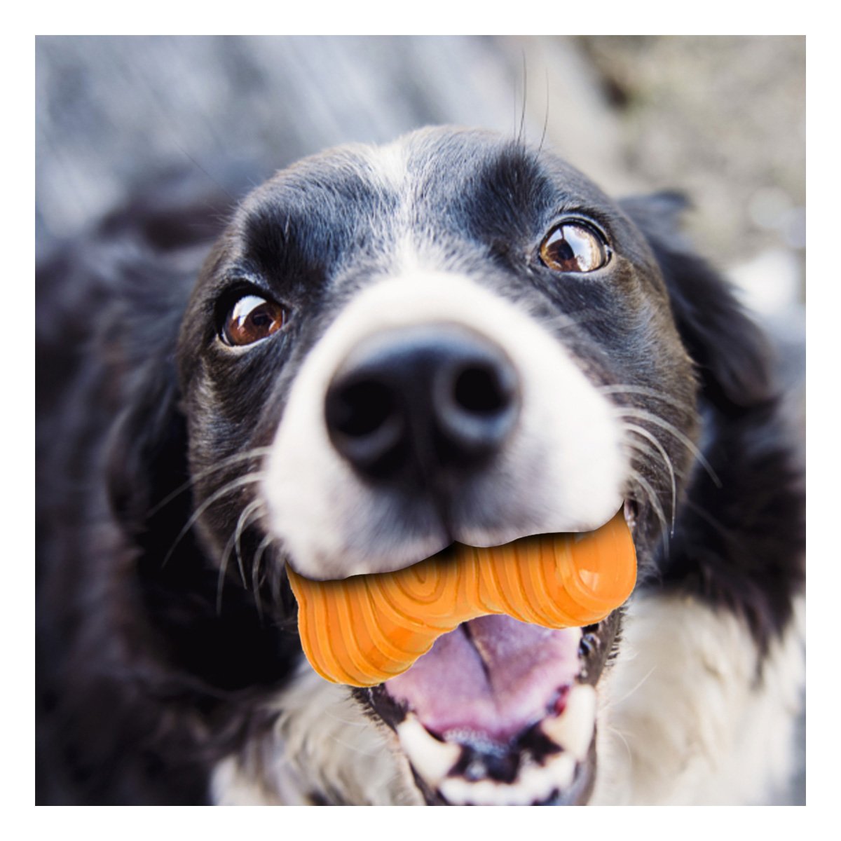 PACK4 ELEMENTO EN NARANJA EN FORMA HUESO CON RAYAS CON PRESENCIA DISCRETA YREGALO STICKER - 5