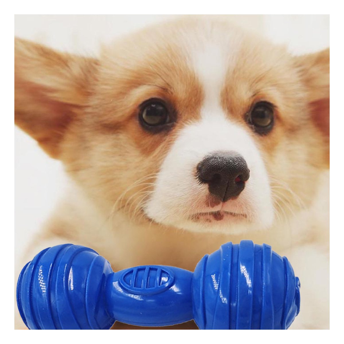 JUGUETE AZUL CON FORMA HUESO CON BOLAS A RAYAS QUE FACILITA ESPACIOS DEFINIDOS YPAPEL REGALO - 2