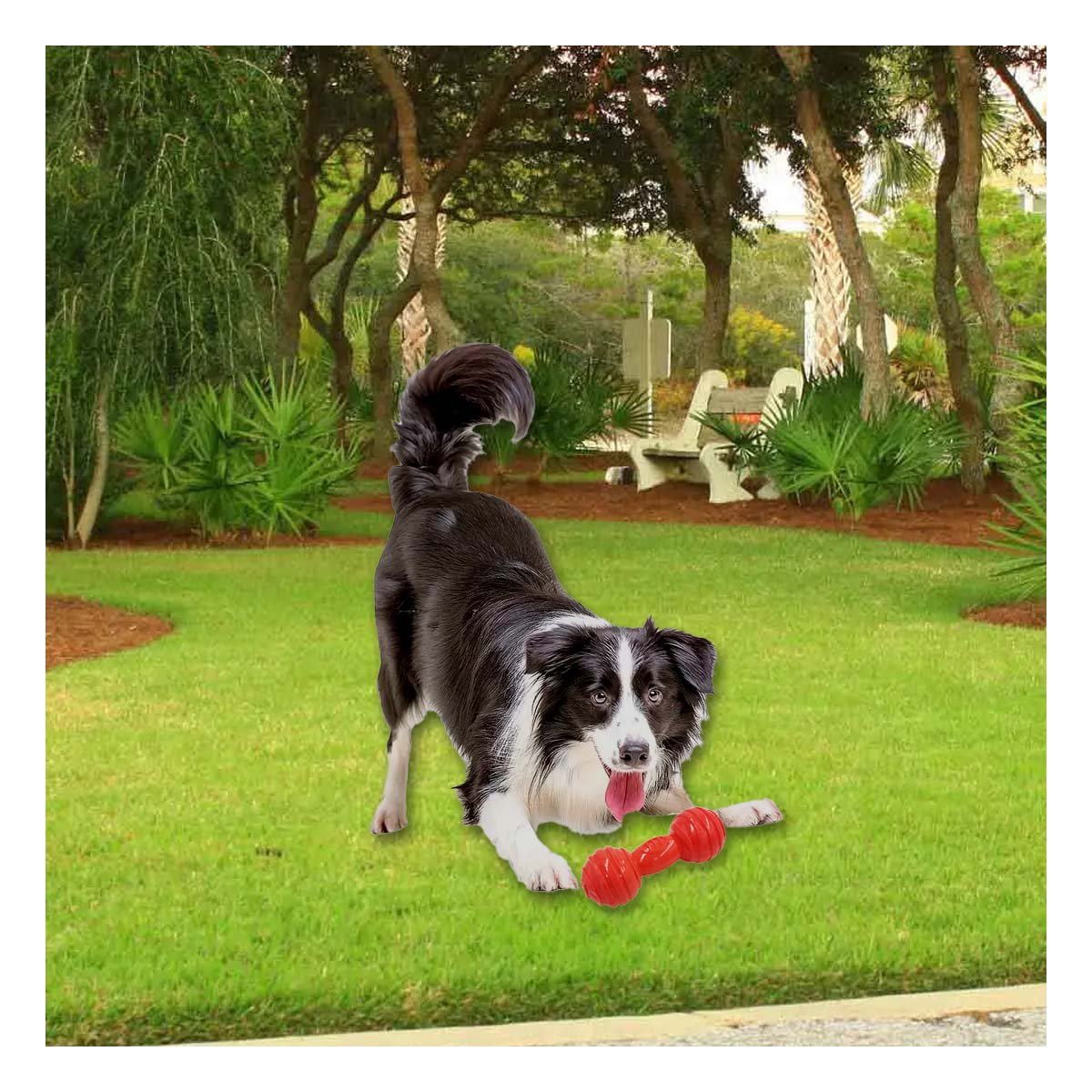 PACK2 MORDEDOR HUESO CON BOLAS A RAYAS EN COLOR ROJO EN ACTIVIDADES DE MASCOTA ACTIVA - 2