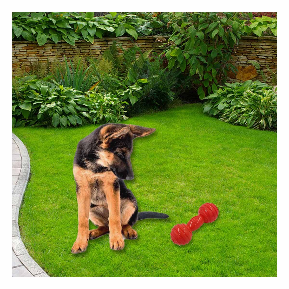 PACK2 MORDEDOR HUESO CON BOLAS A RAYAS EN COLOR ROJO EN ACTIVIDADES DE MASCOTA ACTIVA - 3