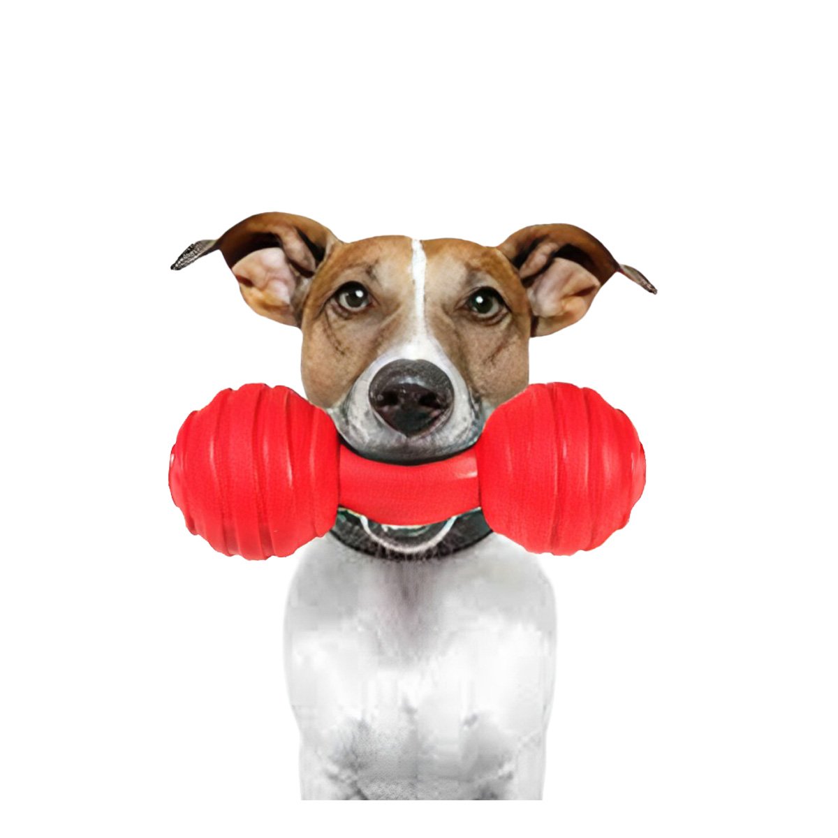 JUGUETE COMPACTO HUESO CON BOLAS A RAYAS EN ROJO PARA CONTROL DE ZONA CANINA YREGALO STICKER - 1