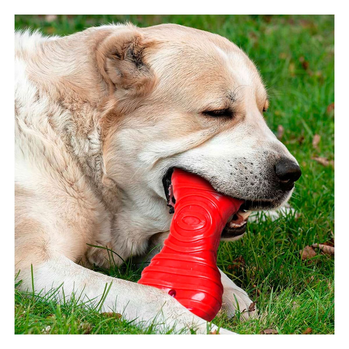 JUGUETE HUESO CON RAYAS EN COLOR ROJO PARA MANTENER AREAS DE MASCOTA EN ORDEN - 1