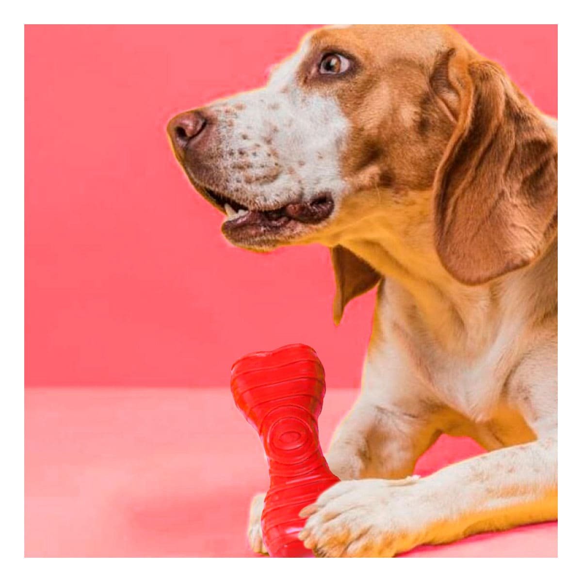 JUGUETE HUESO CON RAYAS EN COLOR ROJO PARA MANTENER AREAS DE MASCOTA EN ORDEN - 5
