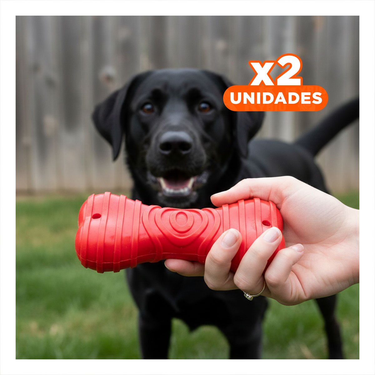 PACK2 MORDEDOR HUESO CON RAYAS EN COLOR ROJO EN ACTIVIDADES DE MASCOTA ACTIVA - 1