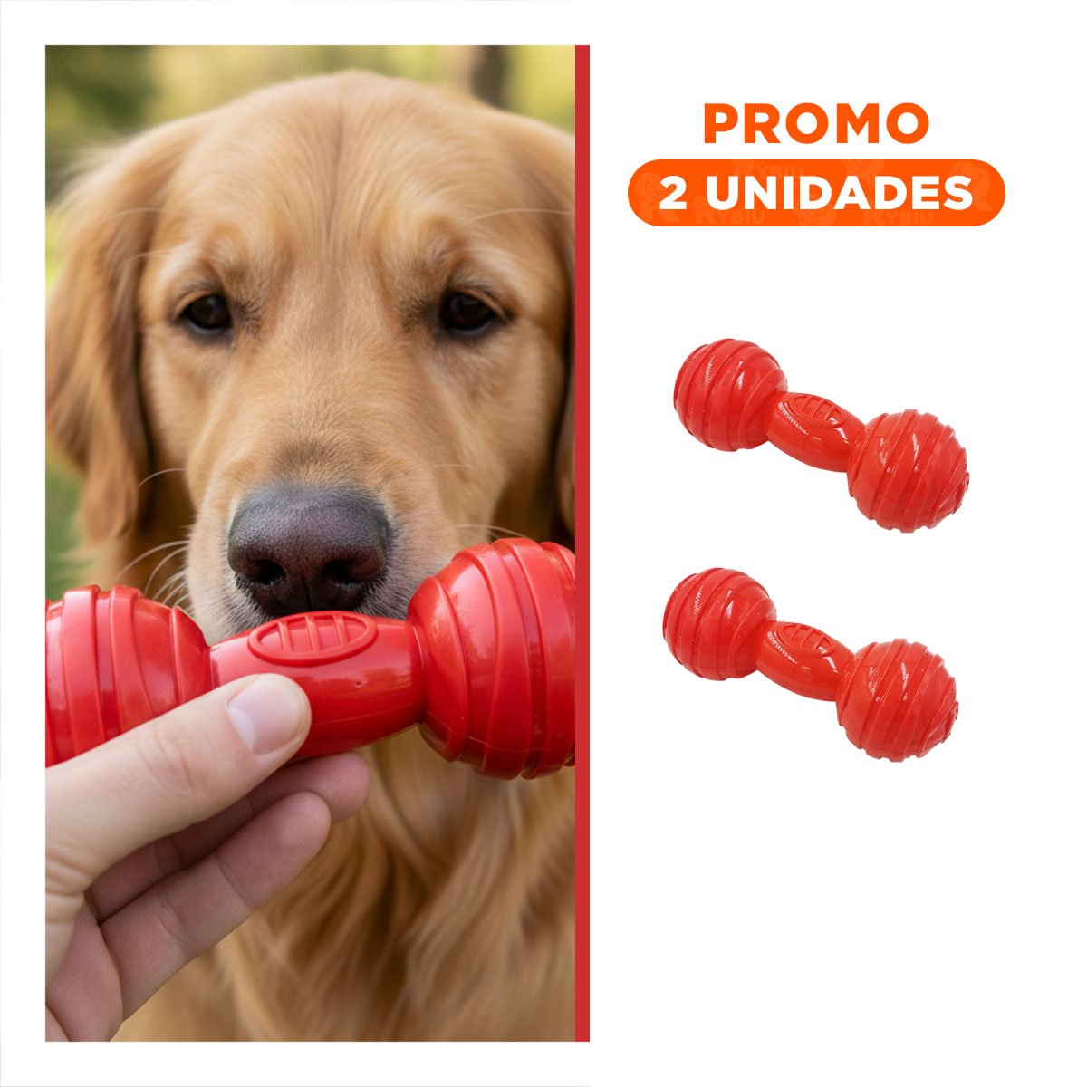 PACK2 MORDEDOR CON BOLAS A RAYAS TIPO HUESO EN COLOR ROJO EN RUTINAS ENERGICAS YREGALO STICKER - 1