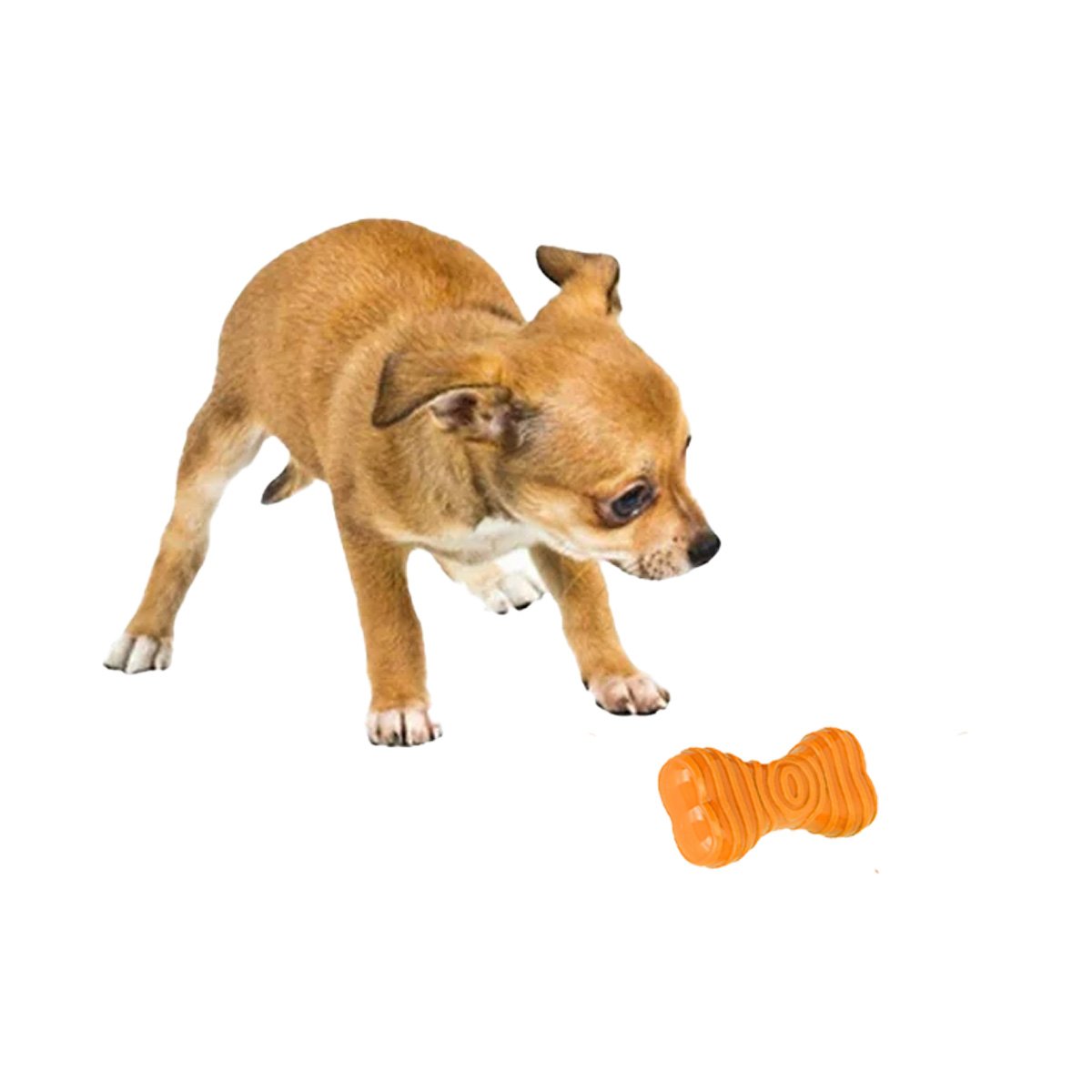 JUGUETE COMPACTO HUESO CON RAYAS EN NARANJA PARA CONTROL DE ZONA CANINA YREGALO STICKER - 1