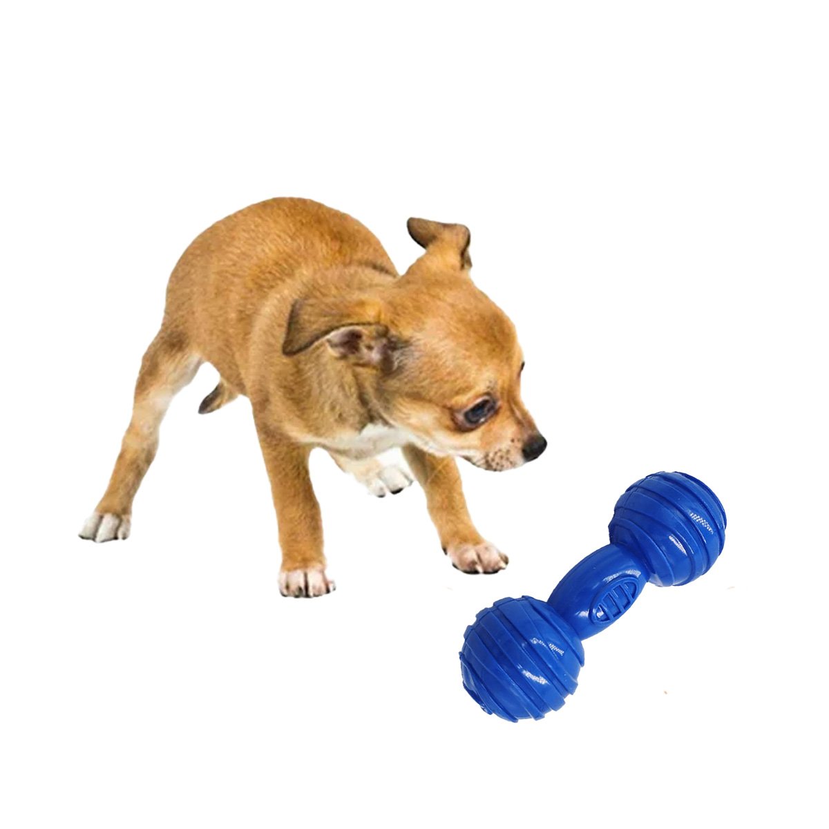 JUGUETE COMPACTO HUESO CON BOLAS A RAYAS EN AZUL PARA CONTROL DE ZONA CANINA YREGALO STICKER - 1