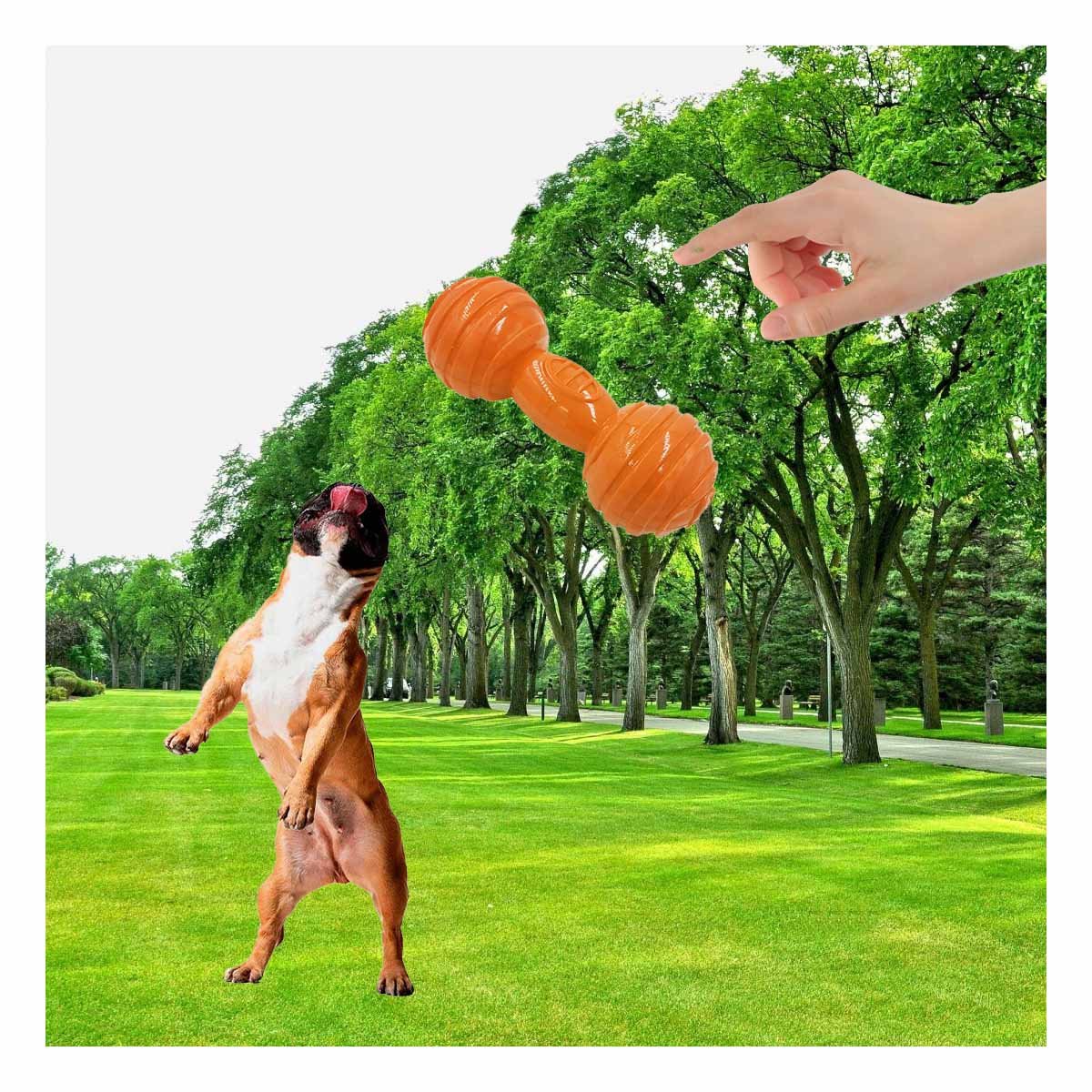 JUGUETE HUESO CON BOLAS A RAYAS EN COLOR NARANJA PARA MANTENER AREAS DE MASCOTA EN ORDEN - 1