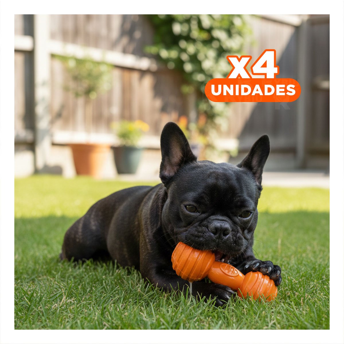 PACK4 ELEMENTO EN NARANJA EN FORMA HUESO CON BOLAS A RAYAS DISCRETO YREGALO STICKER - 1