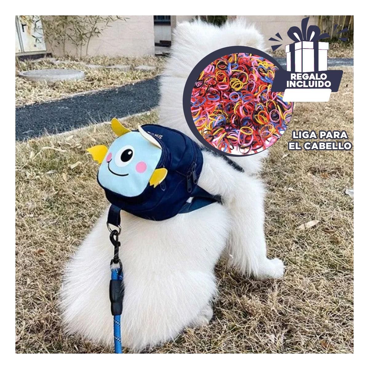 MORRAL PARA MASCOTA AZUL DE MURCIELAGO PARA UN ORDEN DE VIVIENDA REAL YLIGAS REGALO - 2