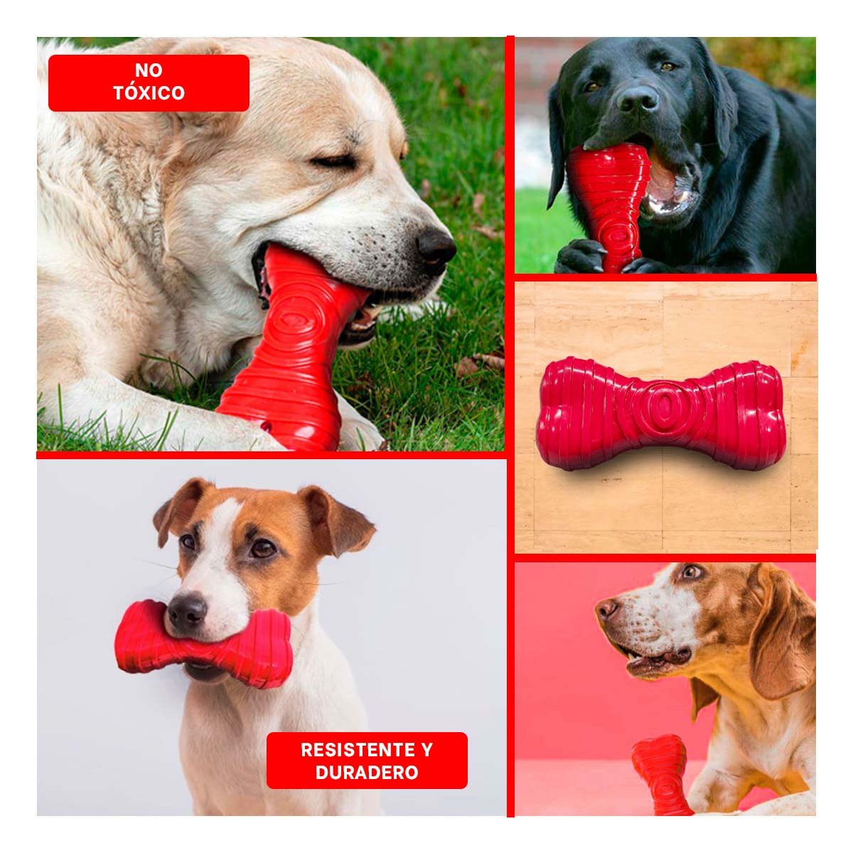JUGUETE CON RAYAS EN ROJO TIPO HUESO PARA DISTRIBUCION PRACTICA DEL ESPACIO YLIGAS REGALO - 1