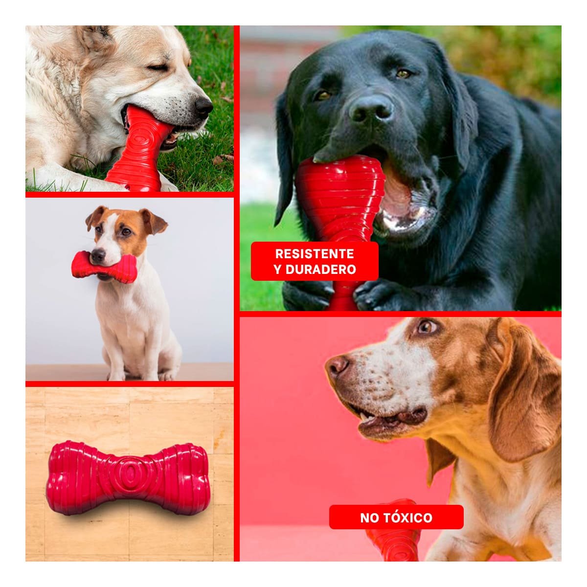 JUGUETE CANINO HUESO CON RAYAS EN COLOR ROJO EN AMBIENTES BIEN DELIMITADOS YSTICKY - 2