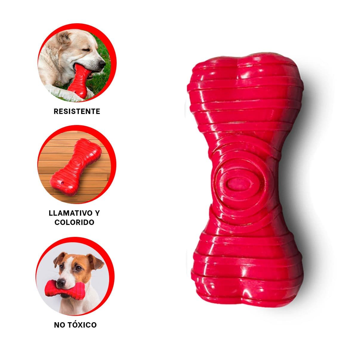 JUGUETE CANINO HUESO CON RAYAS EN COLOR ROJO EN AMBIENTES BIEN DELIMITADOS YSTICKY - 5