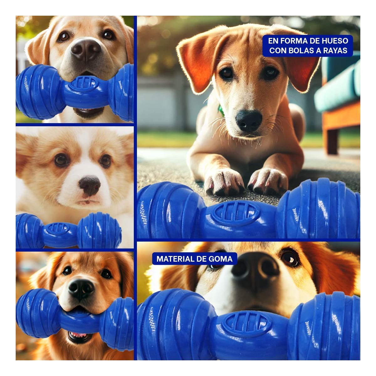 PACK2 MORDEDOR EN COLOR AZUL HUESO CON BOLAS A RAYAS PARA ESTIMULO DIARIO YPAPEL REGALO - 3