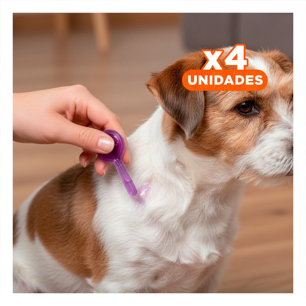 PACK4 TRATAMIENTO DE 3 ML PARA PERROS DE PARA EL BIENESTAR DE MASCOTA YPAPEL REGALO - 1