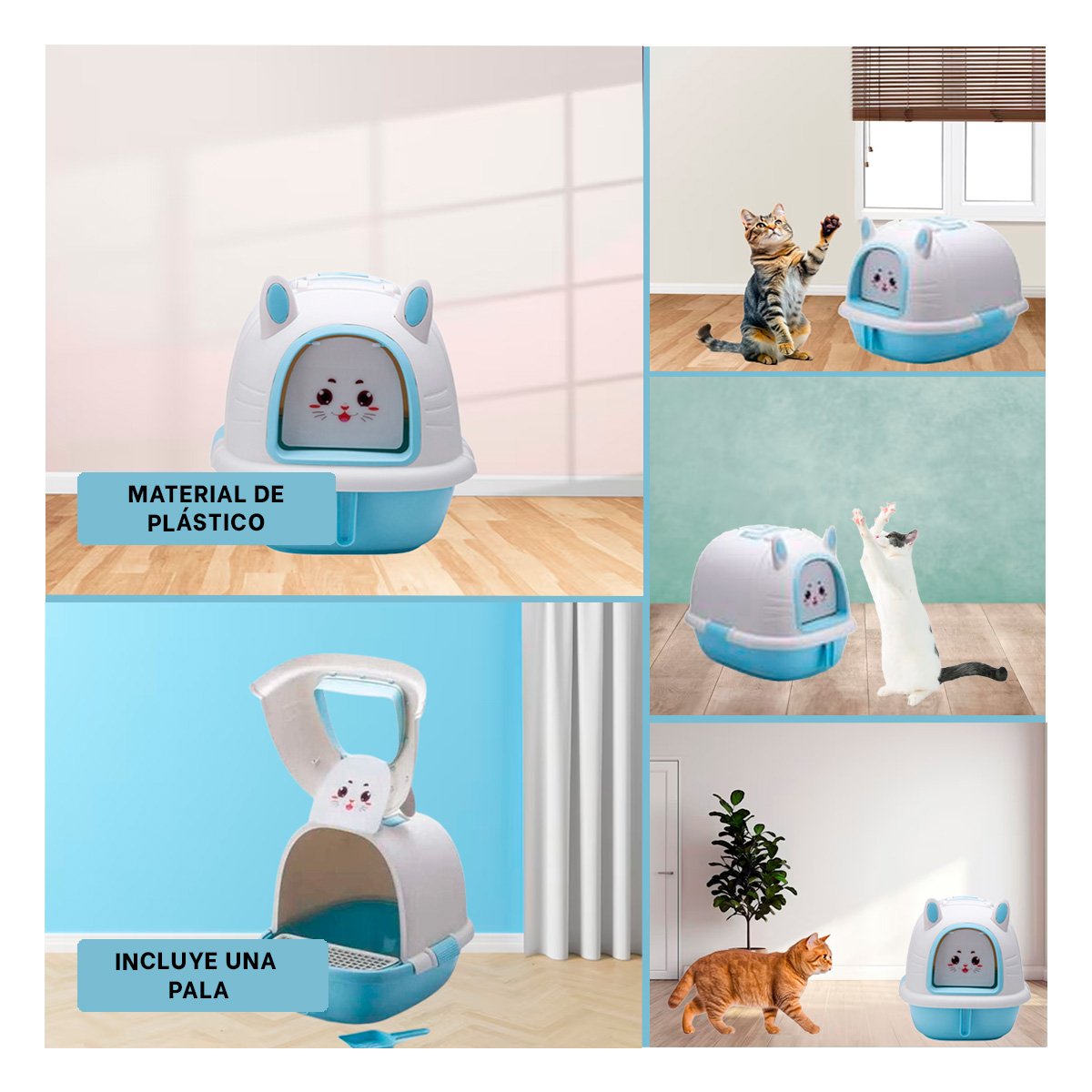 PACK2 BANDEJA COMPACTA DE CARITA CELESTE CON CERNIDOR Y PALA EN ZONA TRANQUILA YPAPEL REGALO - 3