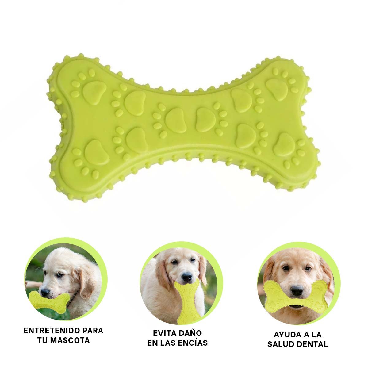 JUGUETE CANINO HUESO PEQUENO VERDE LIMON EN AMBIENTES BIEN DELIMITADOS YSTICKY - 5