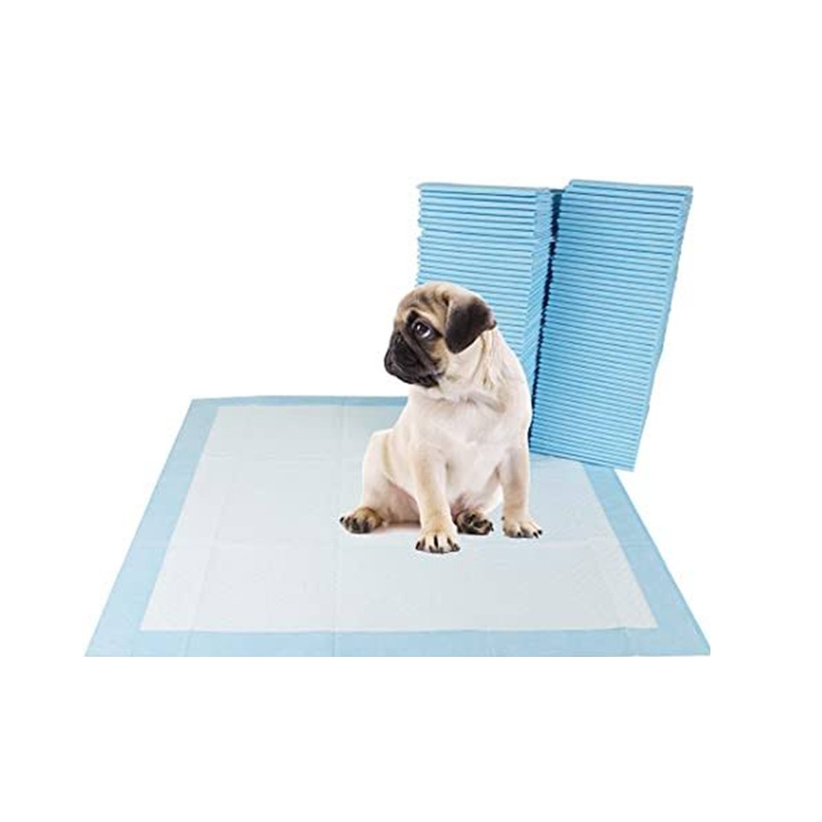 PACK4 ALFOMBRA ABSORBENTE TALLA S CELESTE PARA EL BIENESTAR DE SU MASCOTA YPAPEL REGALO - 3