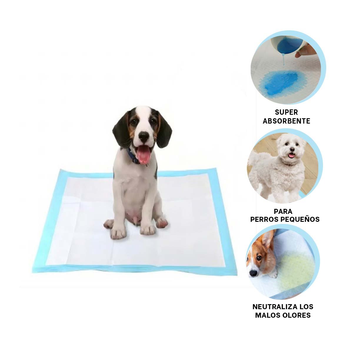 PAÑAL DE PISO PET TALLA S CELESTE DE CALIDAD REAL PARA UNA LIMPIEZA DIARIA YSTICKY - 5