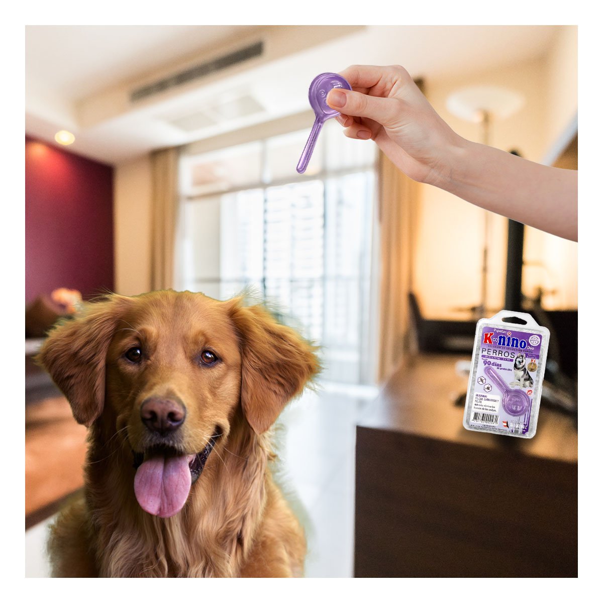 SOLUCION TOPICA PARA PERROS DE 20 A 50 KG PARA SU LINDO HOGAR YREGALO STICKER - 5