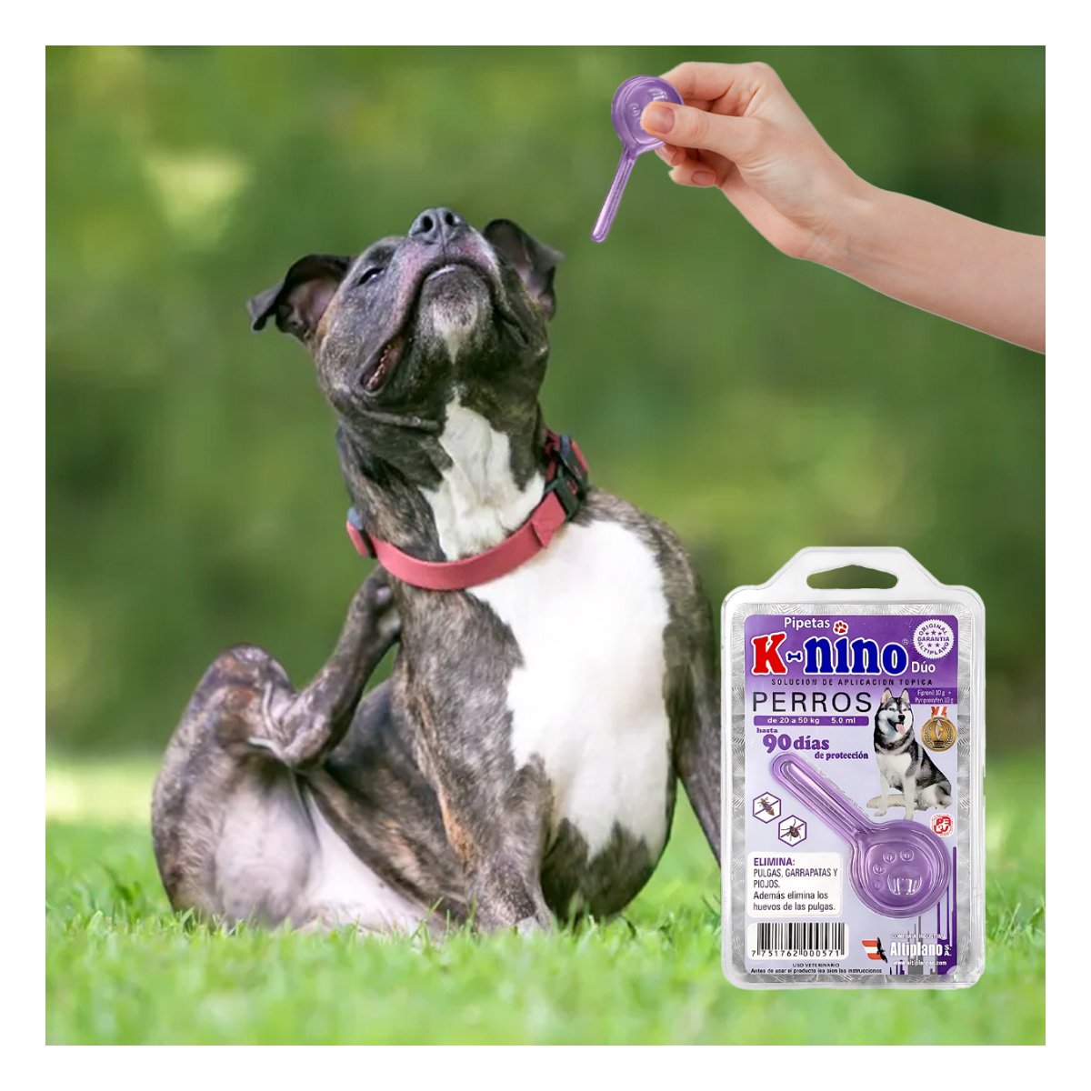 PACK4 SOLUCION TOPICA PARA PERROS DE 20 A 50 KG CON MUCHA FUERZA YREGALO STICKER - 5