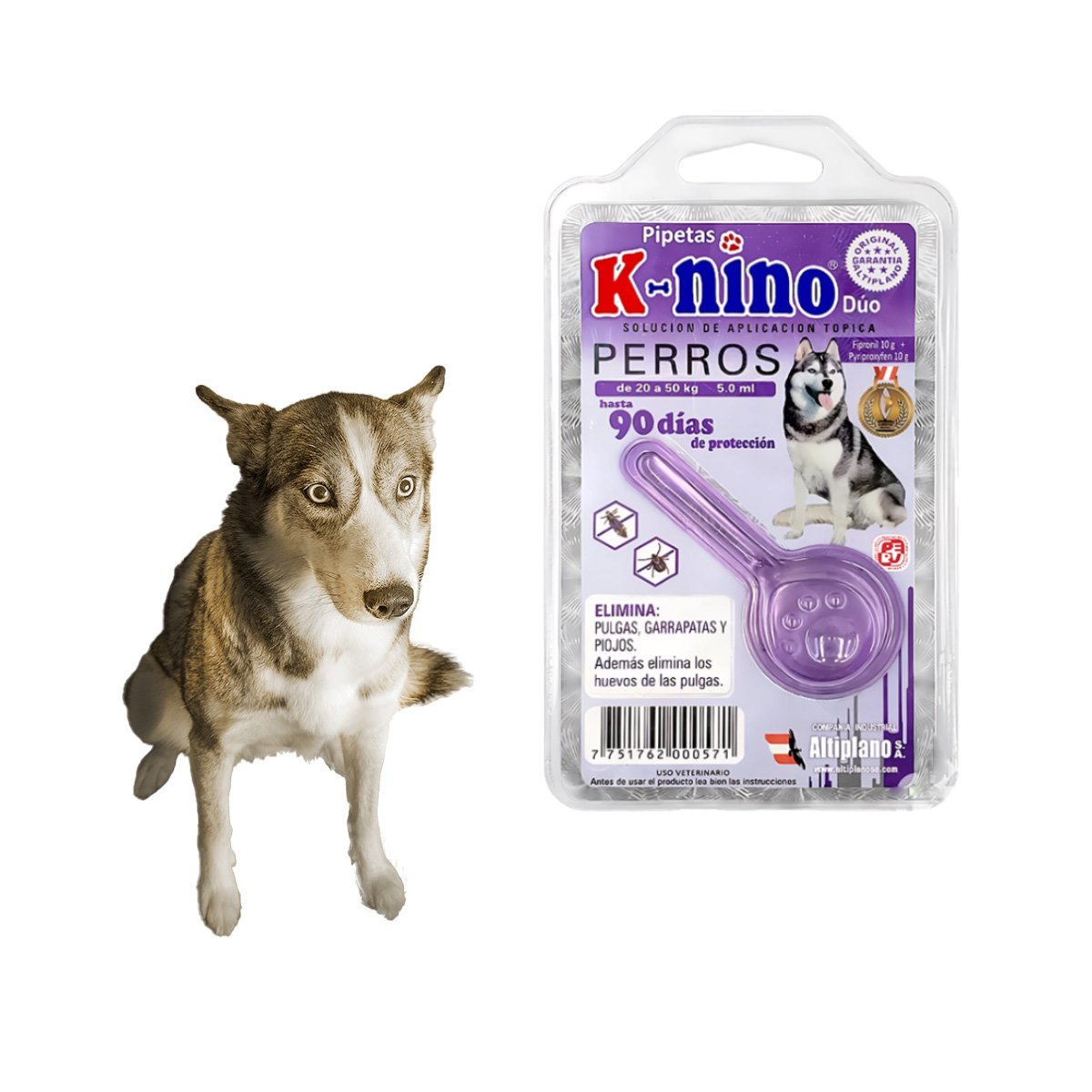 PACK2 BARRERA PROTECTORA PARA PERROS DE 20 A 50 KG PARA MAS ESTILO YREGALO STICKER - 2