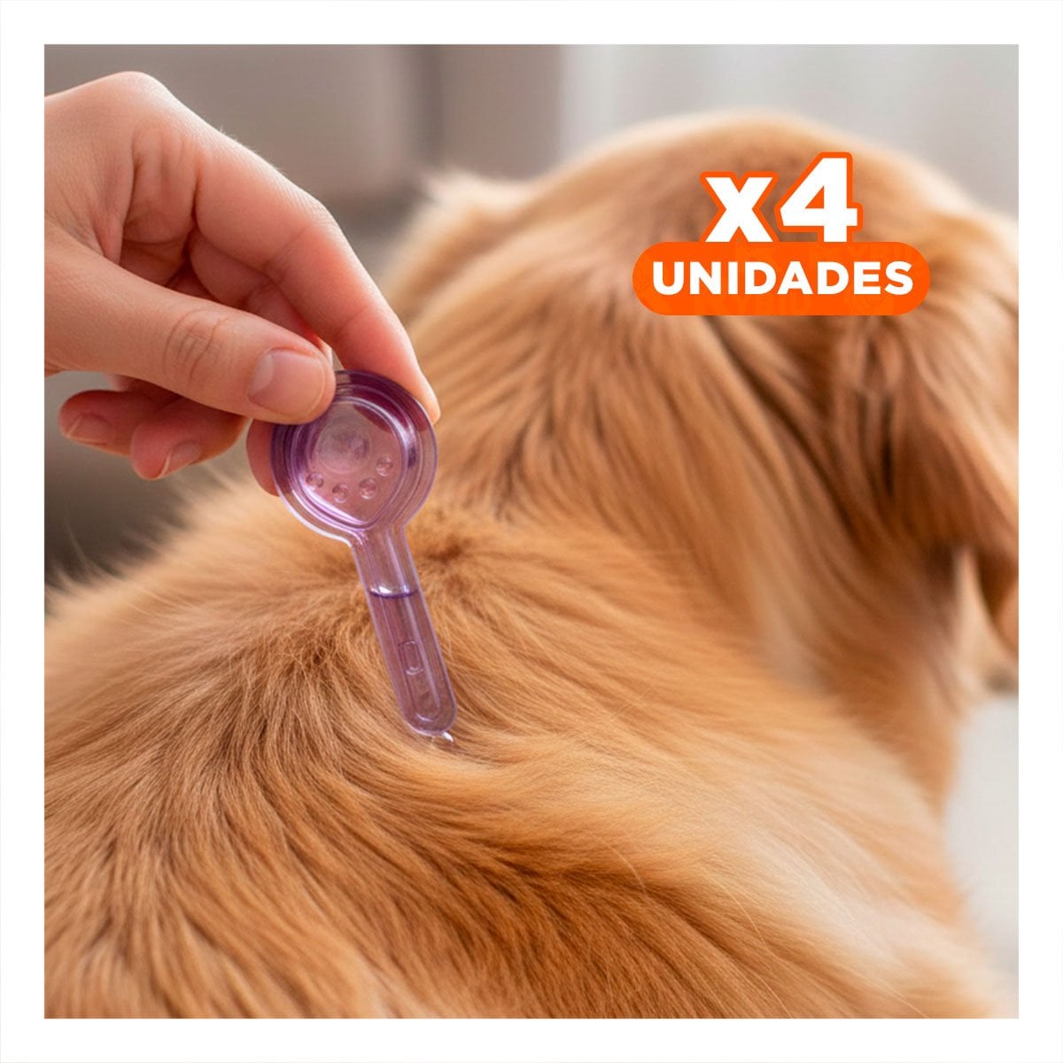 PACK4 TRATAMIENTO CONTRA PULGAS PARA PERROS DE 20 A 50 KG PARA SU MASCOTA YPAPEL REGALO - 1