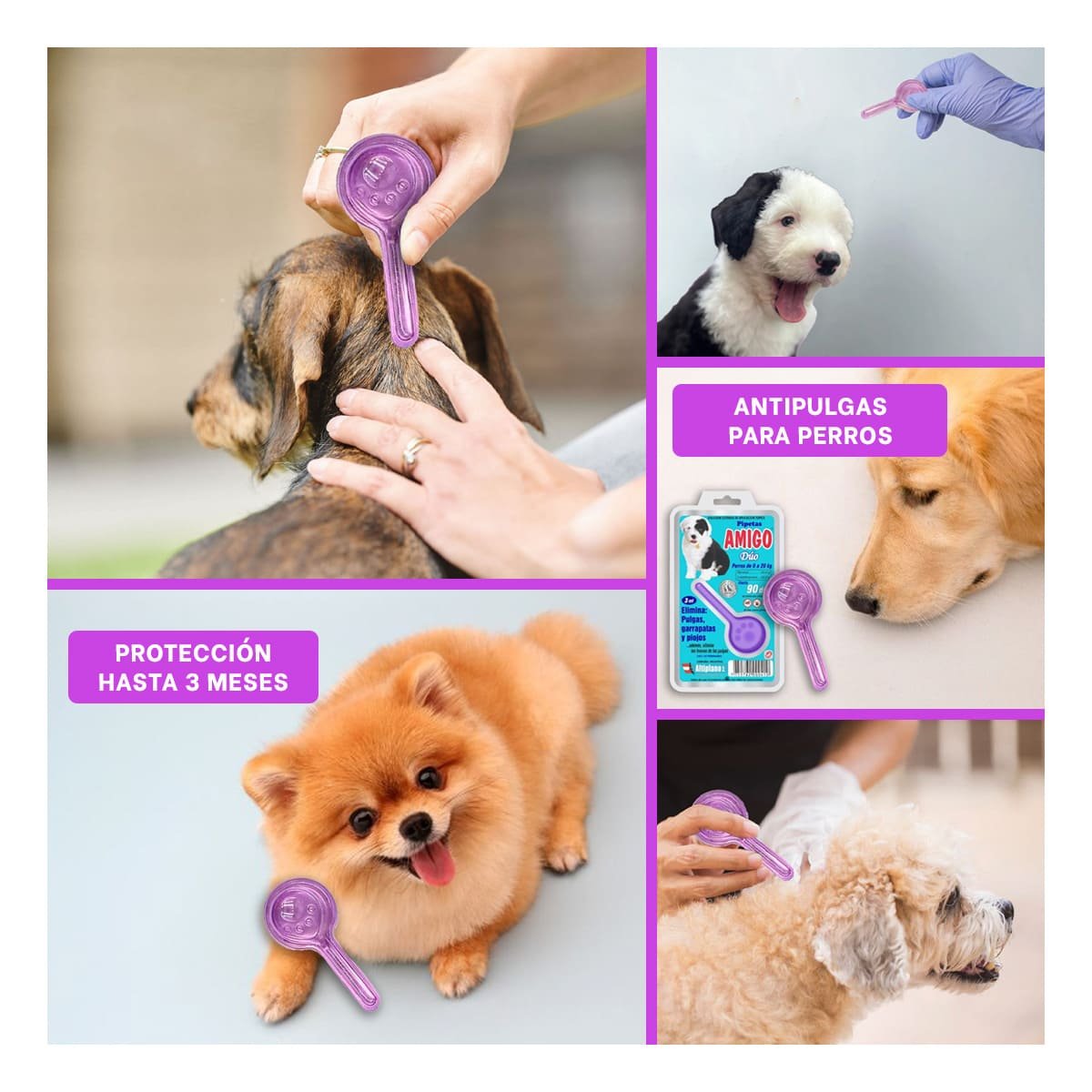 PACK2 SOLUCION TOPICA DE 3 ML PARA PERROS DE PARA SU DIARIO USO YPAPEL REGALO - 3