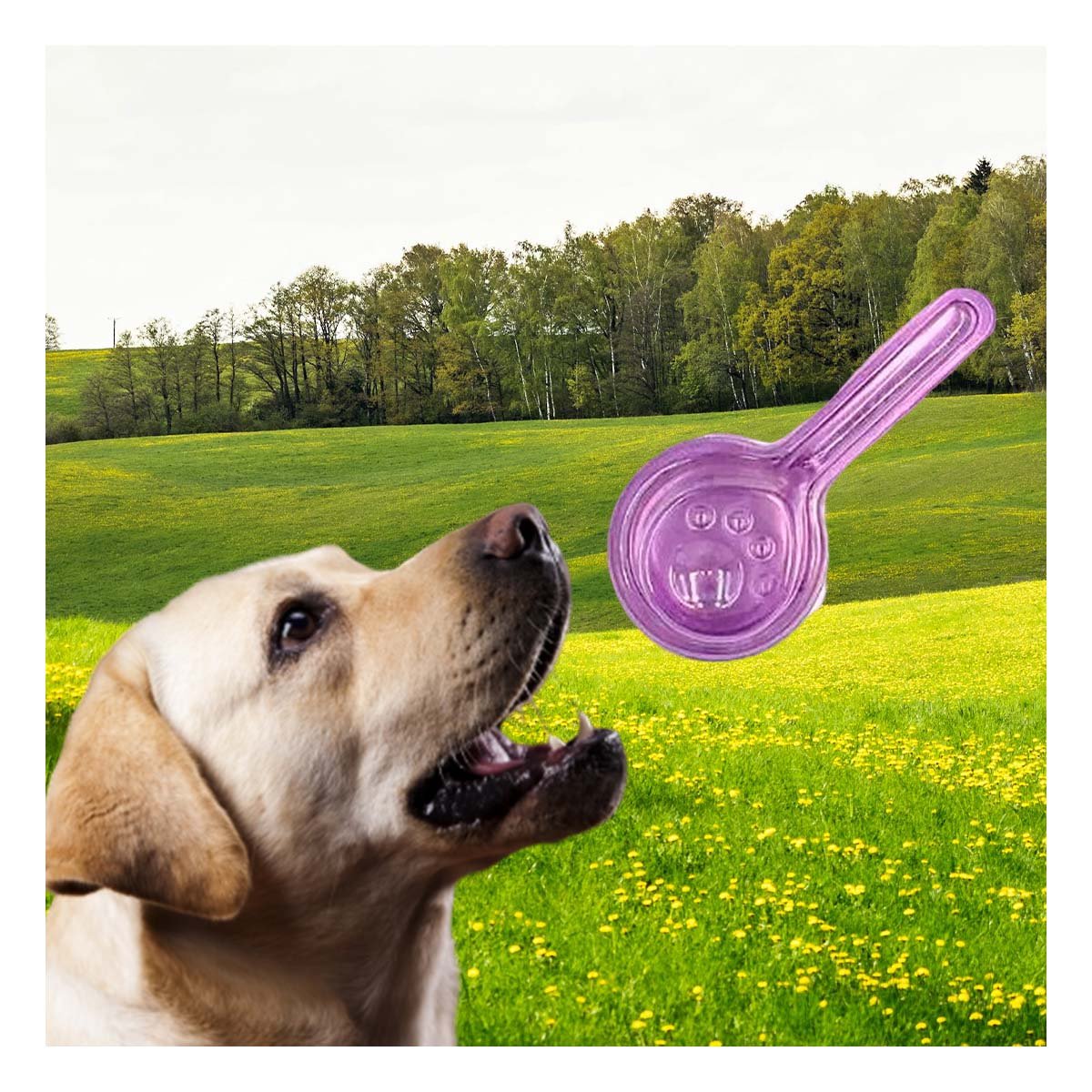 BARRERA PROTECTORA DE 5 ML PARA PERROS PARA UN ORDEN DE VIVIENDA YLIGAS REGALO - 3