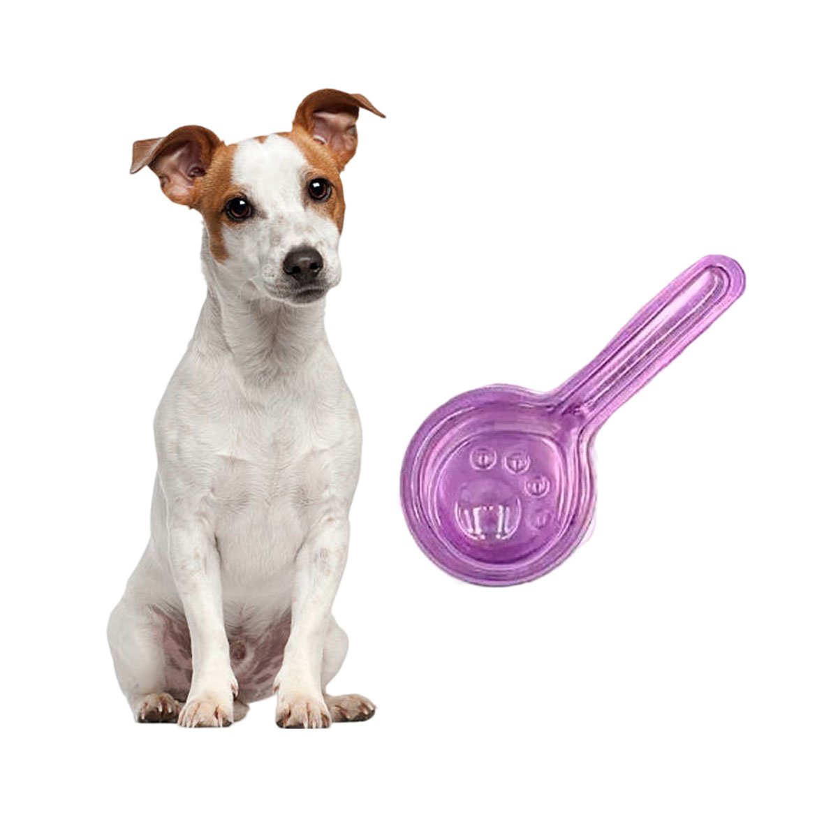 BARRERA PROTECTORA DE 5 ML PARA PERROS PARA UN ORDEN DE VIVIENDA YLIGAS REGALO - 5
