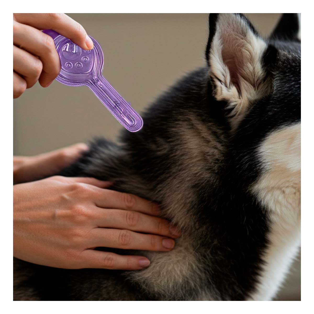 PIPETA ANTIPULGA PARA PERROS DE 0 A 20 KG SANITARIA PARA MUCHA CALMA - 3