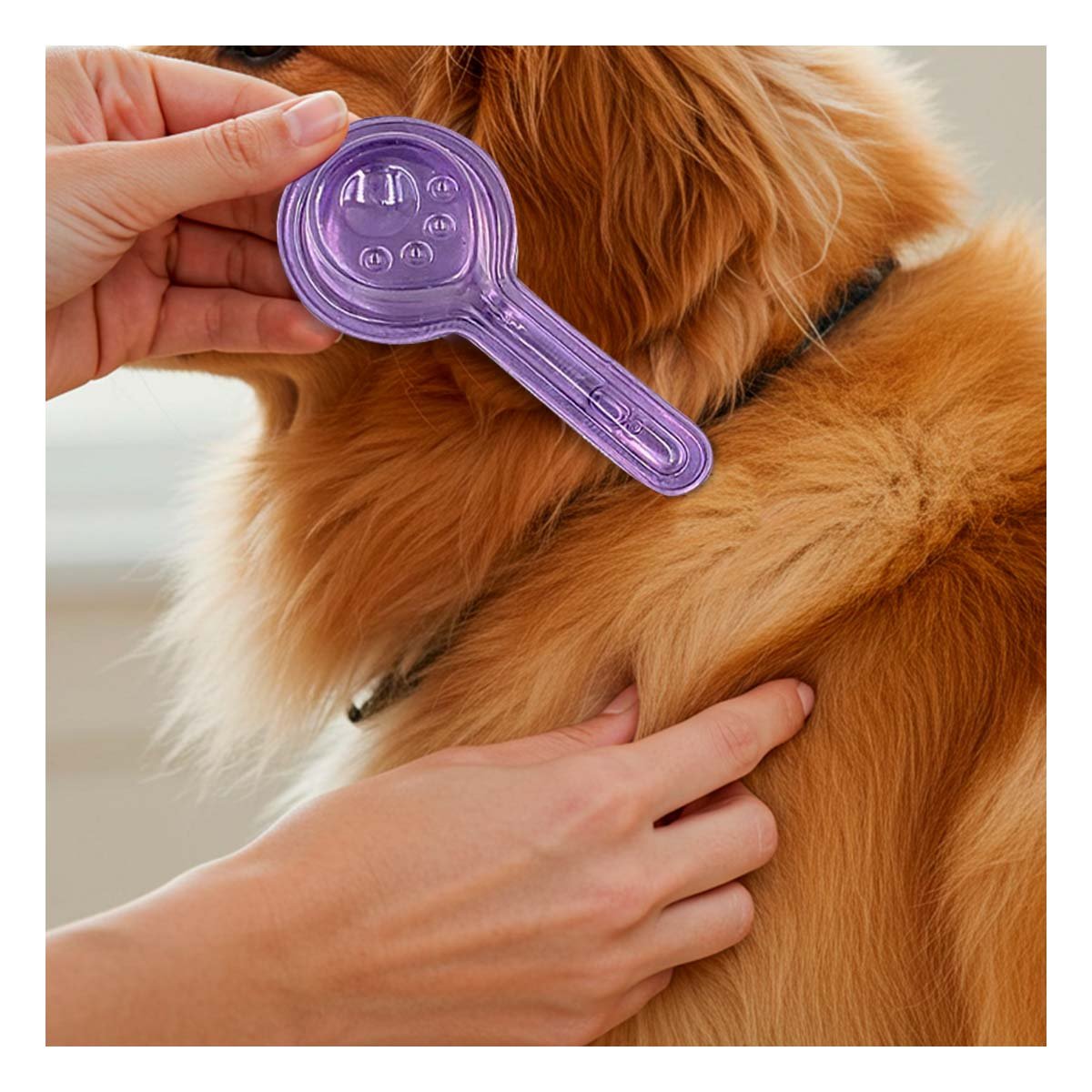 PACK2 BARRERA PROTECTORA PARA PERROS DE 0 A 20 KG PARA MAS ESTILO YREGALO STICKER - 3