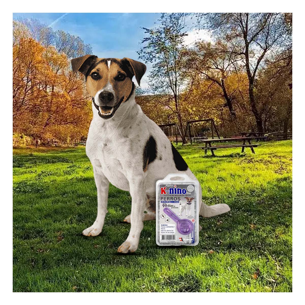 PACK2 BARRERA PROTECTORA PARA PERROS DE 0 A 20 KG PARA MAS ESTILO YREGALO STICKER - 5