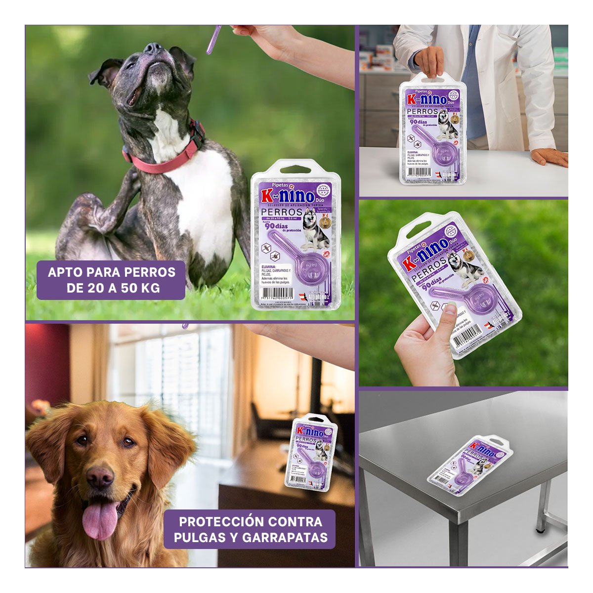 BARRERA PROTECTORA PARA PERROS DE 20 A 50 KG PARA UN ORDEN DE VIVIENDA YLIGAS REGALO - 1