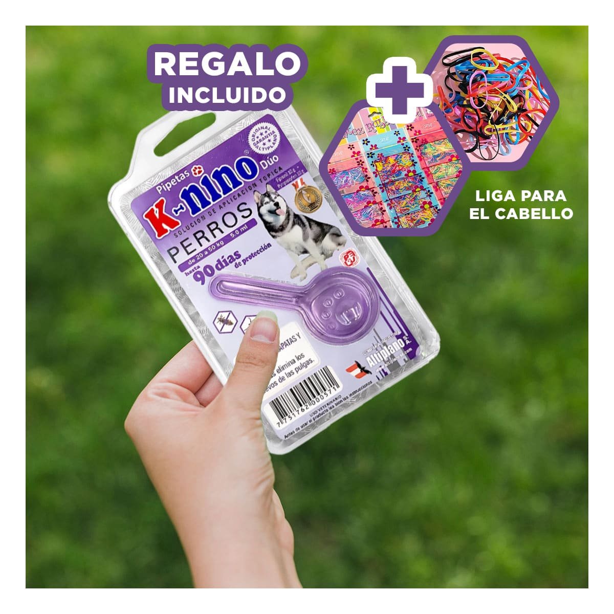 BARRERA PROTECTORA PARA PERROS DE 20 A 50 KG PARA UN ORDEN DE VIVIENDA YLIGAS REGALO - 2