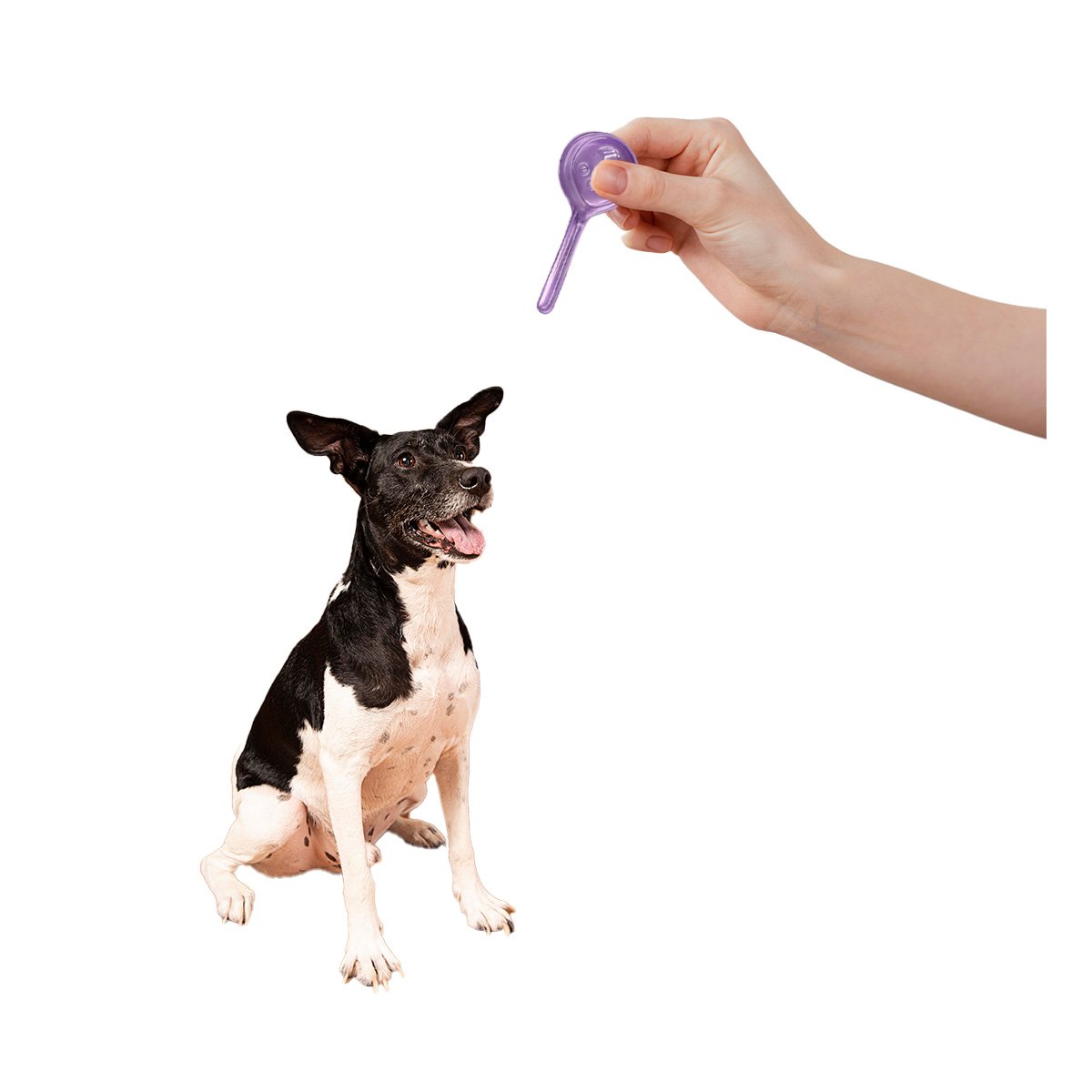 BARRERA PROTECTORA PARA PERROS DE 20 A 50 KG PARA UN ORDEN DE VIVIENDA YLIGAS REGALO - 5