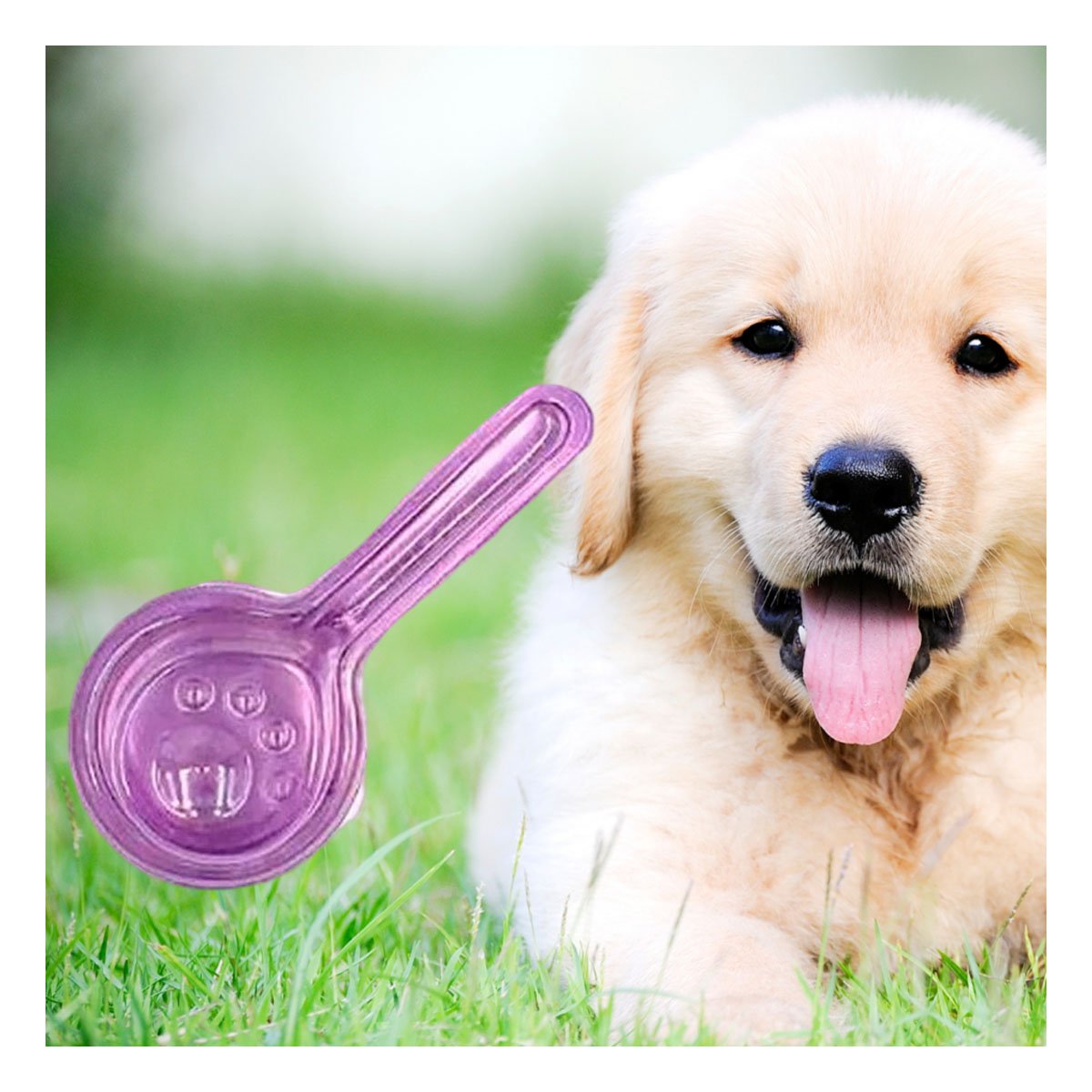 PACK2 BARRERA PROTECTORA DE 5 ML PARA PERROS PARA MAS ESTILO YREGALO STICKER - 5