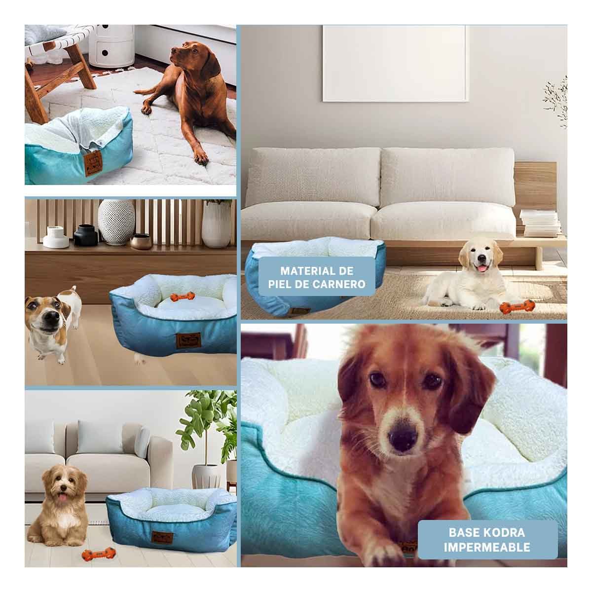 PACK4 COLCHONETA TALLA M VERDE DE PIEL DE CARNERO PARA DESCANSO PARA MASCOTAS YREGALO STICKER - 2
