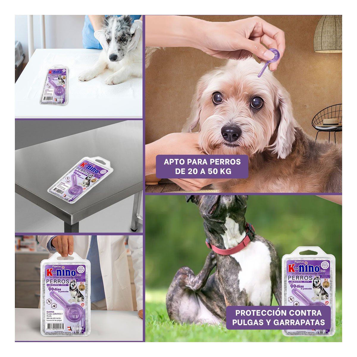 TRATAMIENTO CONTRA PARASITOS PARA PERROS DE 20 A 50 KG PARA LA SALUD DE FAMILIA YPAPEL REGALO - 3