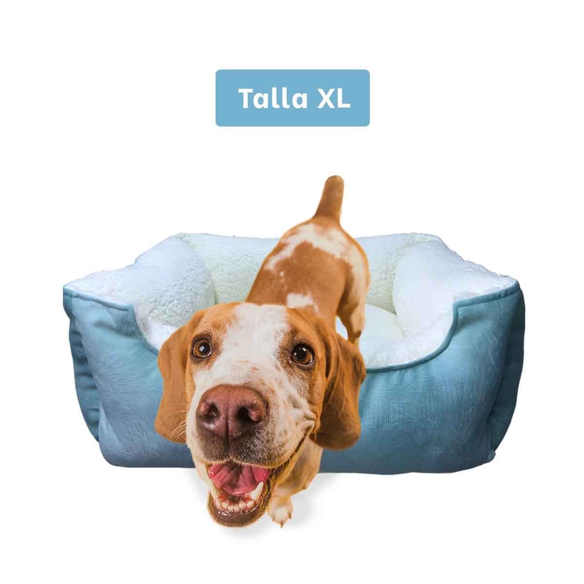 CAMA COMPACTA TALLA XL VERDE DE PIEL DE CARNERO PARA ORGANIZACION DIARIA YSTICKY - 5