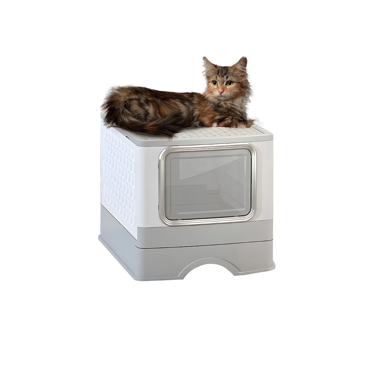 PACK4 CONTENEDOR EN PLOMO PARA ARENA FELINA CON BANDEJA SUPERIOR Y ACCESORIOS YPAPEL REGALO - 3