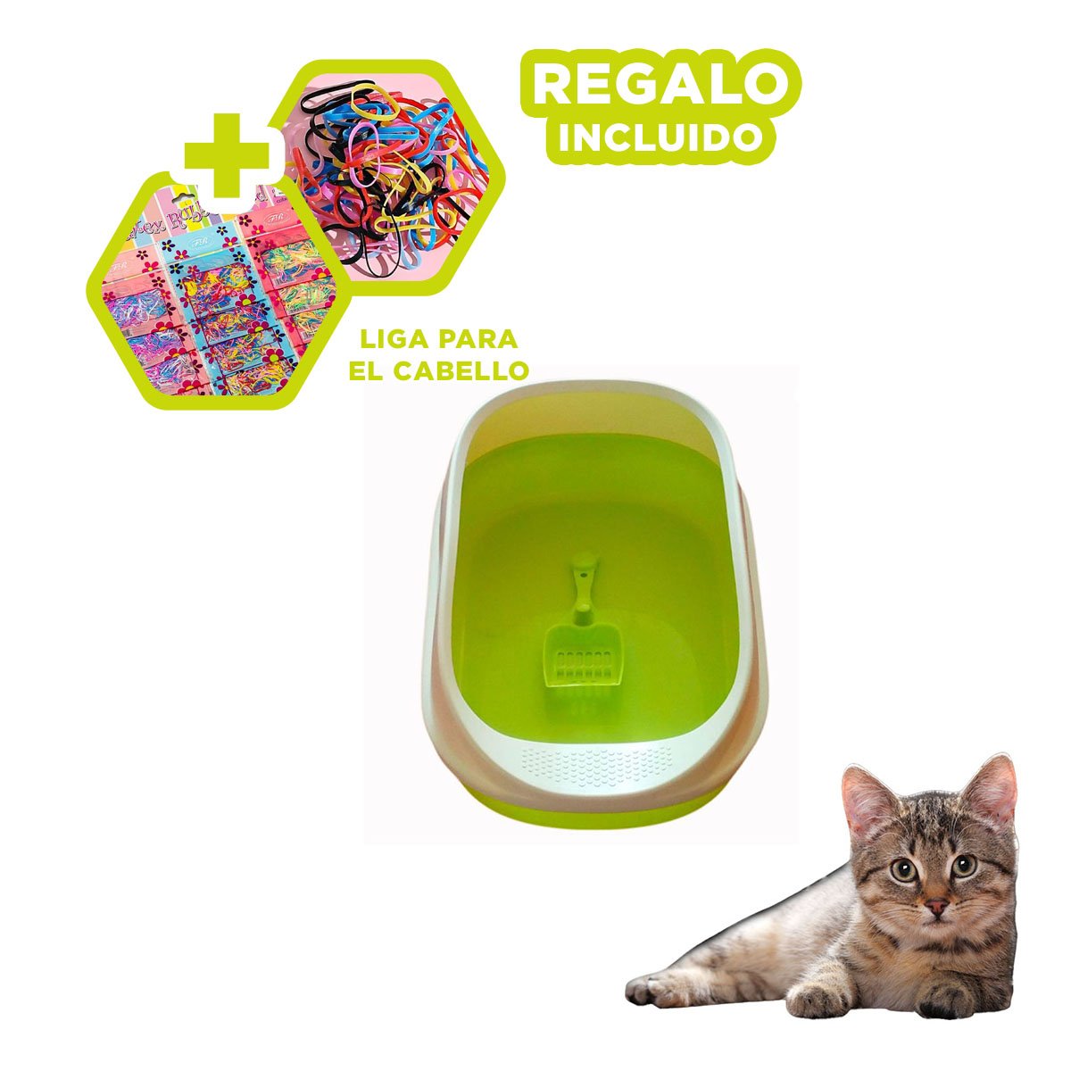 ARENERO CON LADOS MEDIOS ALTOS VERDE Y PALA CERNIDORA DE 53X37X22CM YLIGAS REGALO - 2