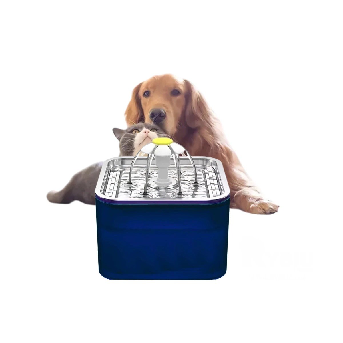 FUENTE DE MATERIAL DE ACERO INOXIDABLE AGUA Y CUADRADO AZUL PARA MASCOTAS YLIGAS REGALO - 5