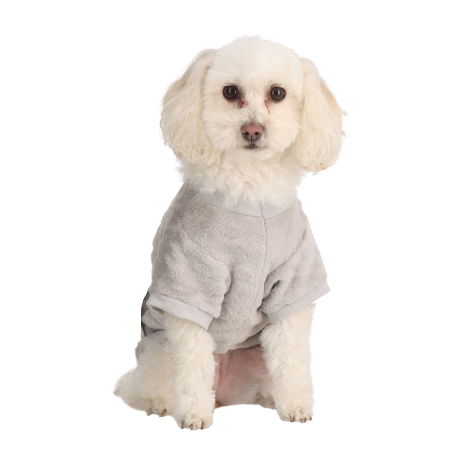 ROPA DE PERRO CAFFARENA 31025P - 1