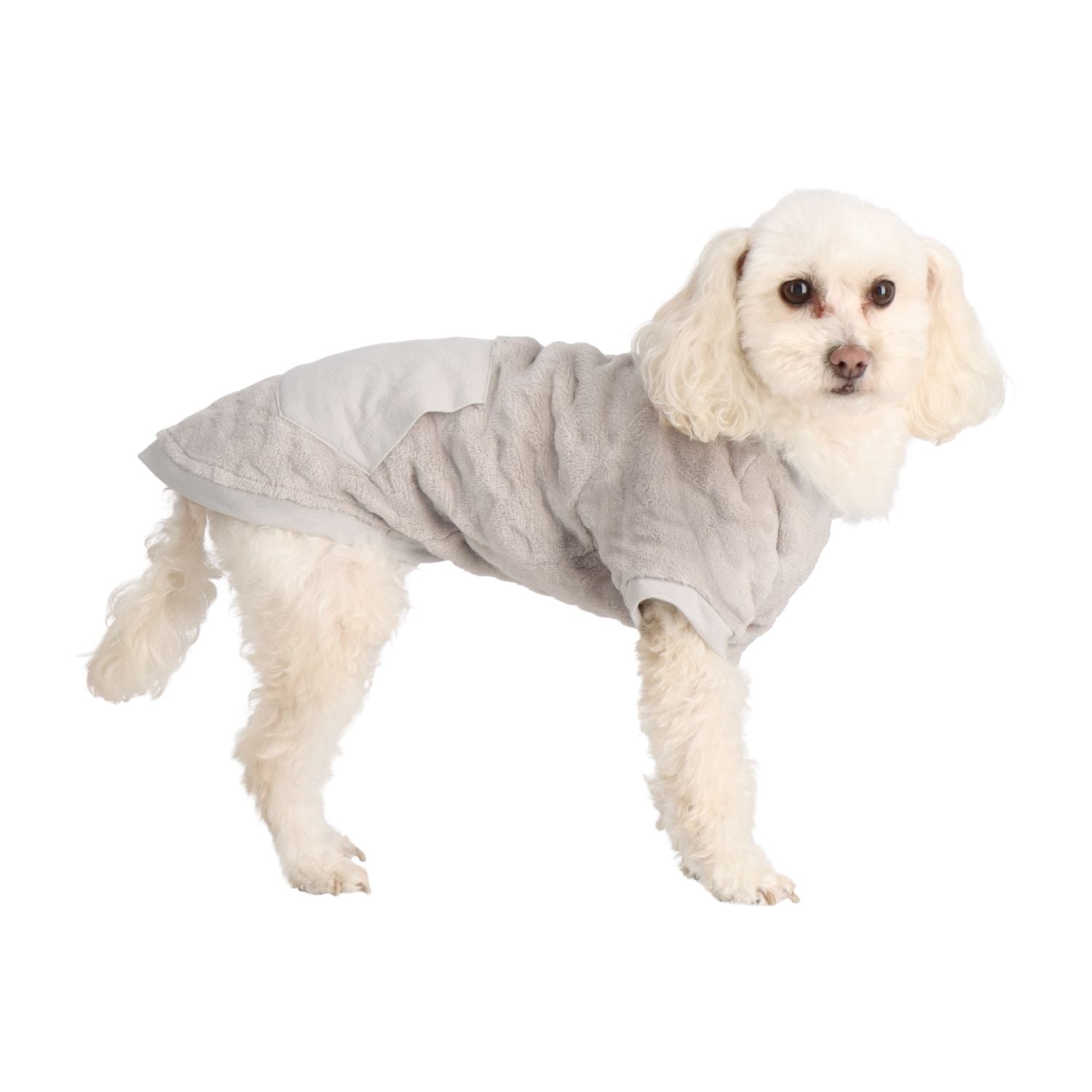 ROPA DE PERRO CAFFARENA 31025P - 2