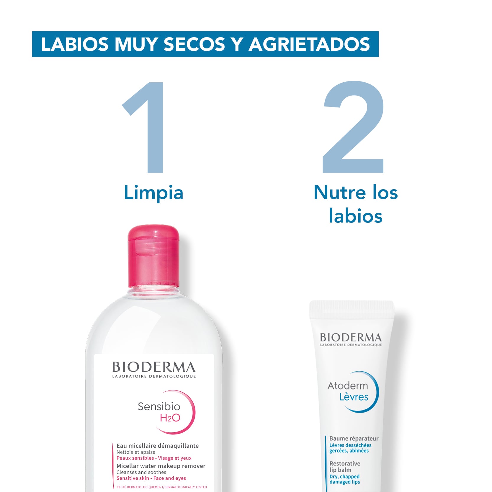 BÁLSAMO LABIAL BIODERMA ATODERM BAUME LEVRES 15ML - 2
