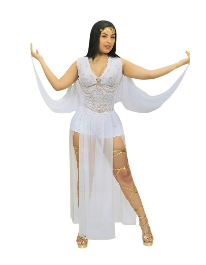 DISFRAZ DIOSA GRIEGA AFRODITA ENTERIZO FALDA TUL TIRAS PIERNAS SET - 1