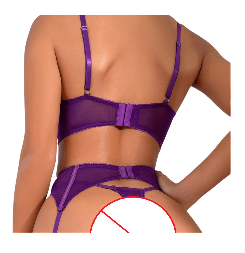 LENCERIA SEXY CONJUNTO PORTALIGAS MINI CORSET CON MEDIAS DE ENCAJE - 2