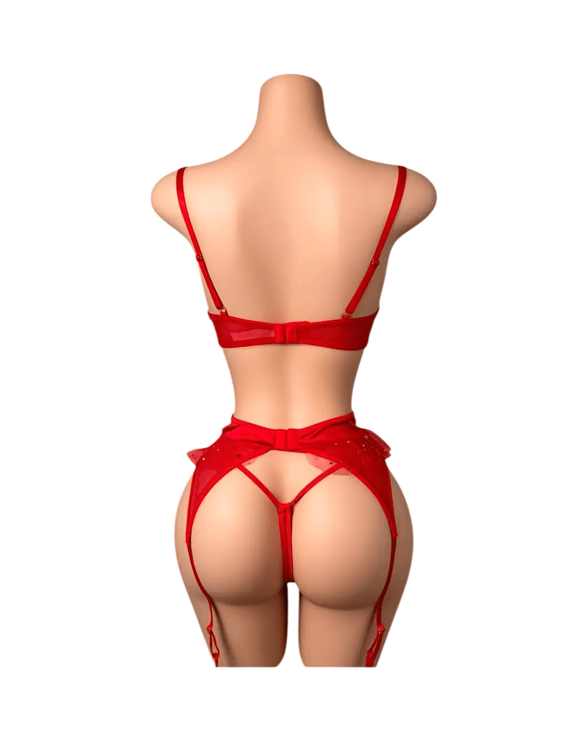 LENCERIA SEXY PORTALIGAS SIEMPRE LISTA PEZONERAS Y MEDIAS MALLA - 2